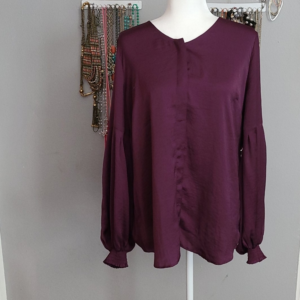Cabi long sleeve blouse